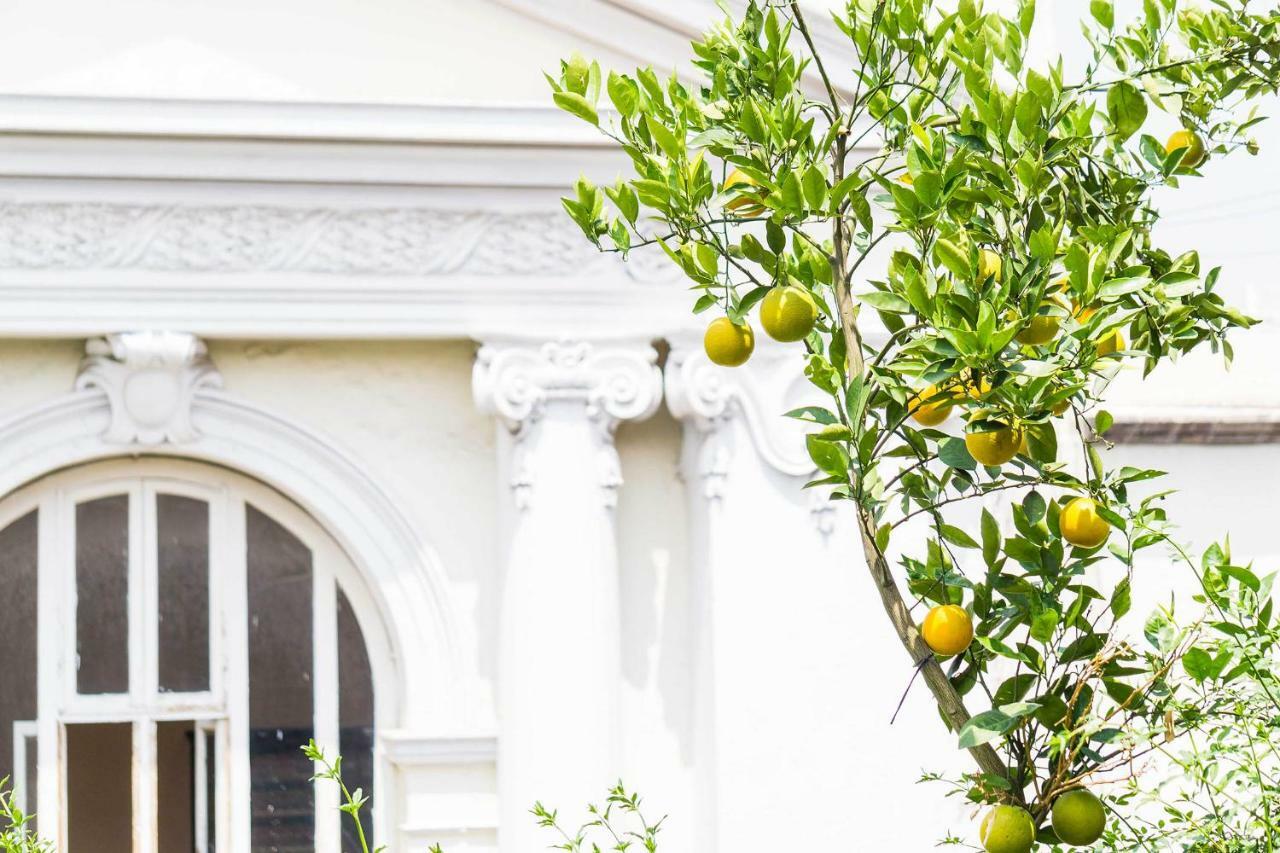 Myplace Zocalo 墨西哥城 外观 照片